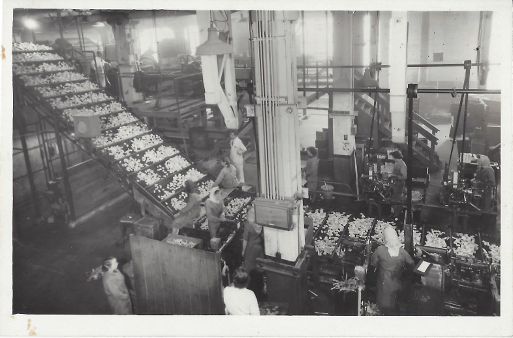 Hartlepool History Then & Now