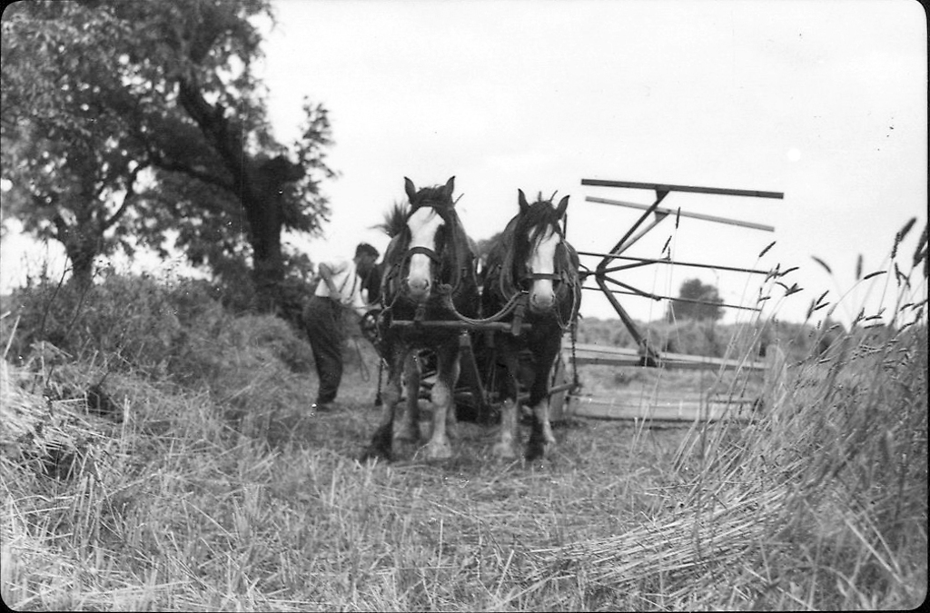 Hartlepool History Then & Now