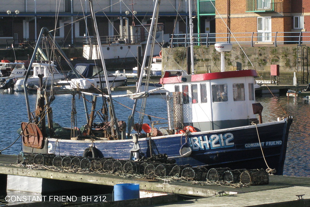 Bh 212 on sale